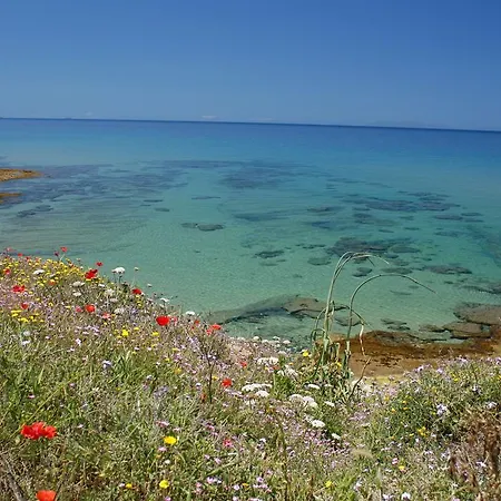 La Rosa Del Mare Apartmán Castelsardo