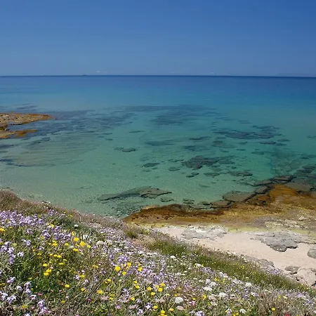 La Rosa Del Mare 카스텔사르도