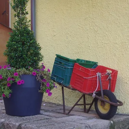 La Rosa Del Mare * 카스텔사르도