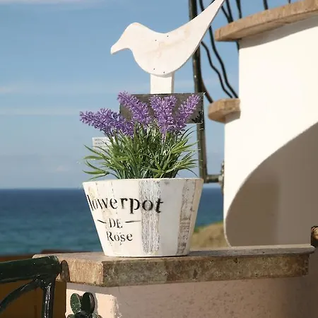 아파트 La Rosa Del Mare