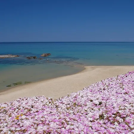 La Rosa Del Mare Lägenhet *